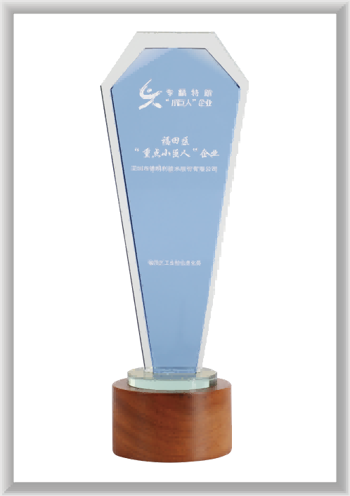 深圳福田區(qū)“重點(diǎn)小巨人”企業(yè)